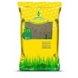 Газон семена евро-лень  1,0кг  АБСОЛЮТ ГРИН