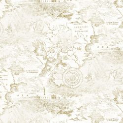 Обои флиз основа горячего тиснения 1,06х10м МИР Карта мотив 01 45а-280-01