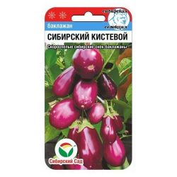 Баклажан семена сибирский кистевой  СИБИРСКИЙ САД