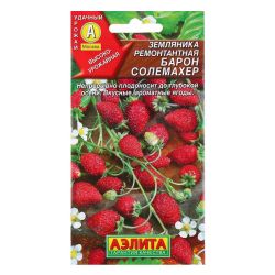 Земляника семена барон солемахер  АЭЛИТА