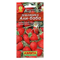 Земляника семена али-баба  АЭЛИТА