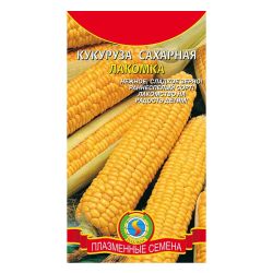 Кукуруза семена лакомка  ПЛАЗМА