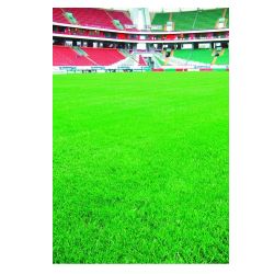 Газон СПОРТ  0,2кг