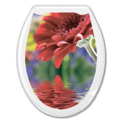 Сиденье для унитаза белое/красная гербера  ОКЕАН