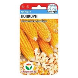 Кукуруза семена попкорн  СИБСАД
