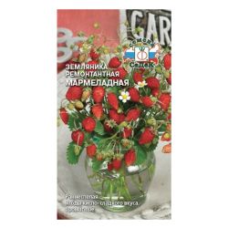 Земляника семена мармеладная  СЕДЕК