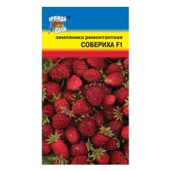 Земляника семена собериха  УРОЖАЙ УДАЧИ
