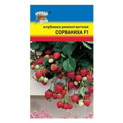 Клубника семена сорваниха  УРОЖАЙ УДАЧИ