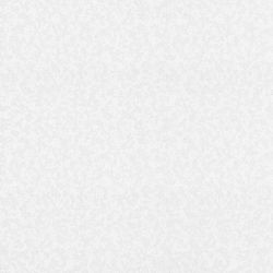 Обои флиз основа вспененный винил 1,06х10м Vilia Империал фон 11 1425-11