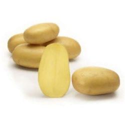 Картофель семенной Королева Анна 1репр.