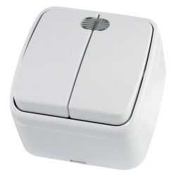 Выключатель 2-ый о/п ДАЧА сл.кость  TDM