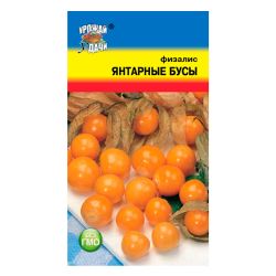 Физалис семена янтарные бусы  УРОЖАЙ УДАЧИ