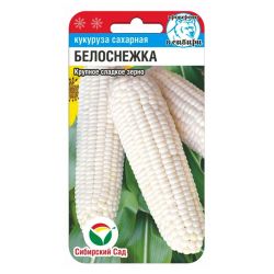 Кукуруза семена белоснежка  СИБИРСКИЙ САД