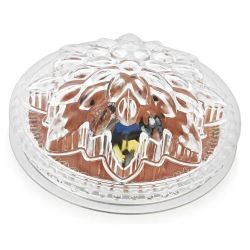 Светильник Диско "BLOOM-200" 220V RGB  FUNRAY