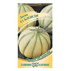 Дыня семена блонди  ГАВРИШ