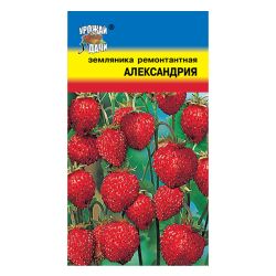 Земляника семена александрия  УРОЖАЙ УДАЧИ