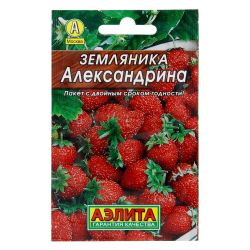 Земляника семена александрина  АЭЛИТА