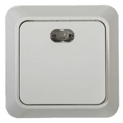 Выключатель 1-ый о/п с подсветкой  BOLLETO белый  IN HOME