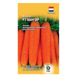 Морковь семена бангор  ГАВРИШ