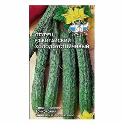 Огурец семена китайский холодоустойчивый  СЕДЕК