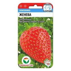 Клубника семена женева  СИБИРСКИЙ САД