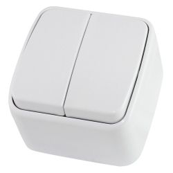 Выключатель 2-ый о/п ДАЧА белый  TDM