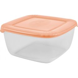 Емкость для хранения продуктов квадратная 1,5л  PLAST TEAM