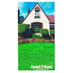 Газон семена коттедж 30,0гр НК