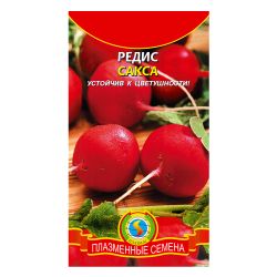 Редис семена сакса  ПЛАЗМА