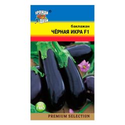 Баклажан семена черная икра  УРОЖАЙ УДАЧИ