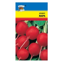 Редис семена жара  УРОЖАЙ УДАЧИ