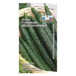Огурец семена китайский болезнеустойчивый  СЕДЕК
