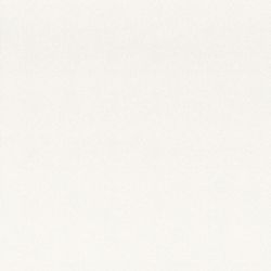 Обои флиз основа вспененный винил 1,06х10м Vilia Лиза фон 61