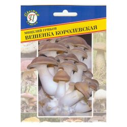 Вешенка семена королевская  ПРЕСТИЖ