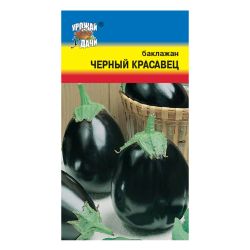 Баклажан семена черный красавец  УРОЖАЙ УДАЧИ