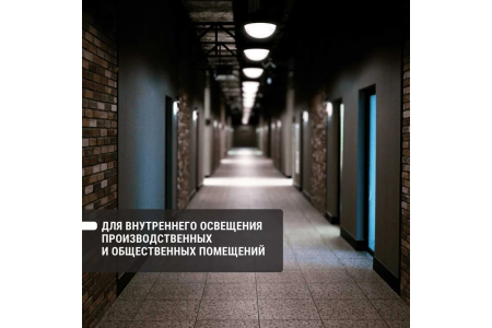 Светильник НПБ 60Вт овал белый б/решетки  TDM  (НПП 1401)